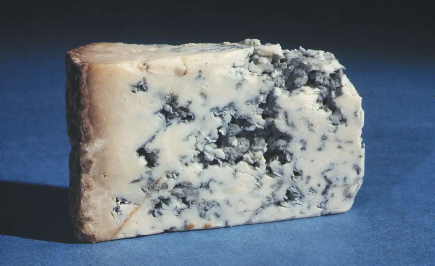 Silton_Cheese
